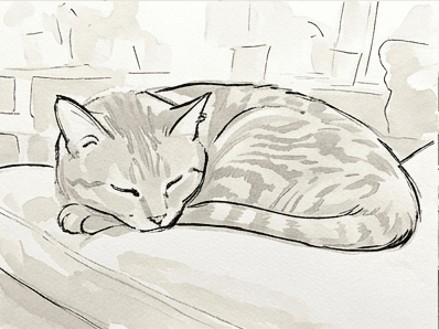 7th step of the how to draw a cat in watercolor tutorial: lay the palest wash.