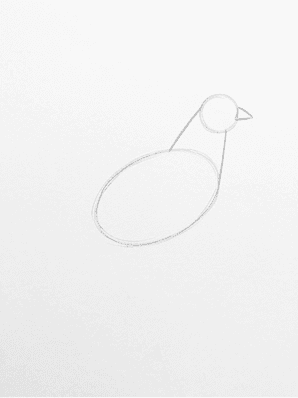 Pencil sketch of a rooster with a connected neck, a small triangular beak, and a marked eye dot