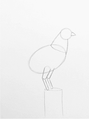 Pencil sketch of a rooster with the comb peaks blocked in on top of the head and twin wattle teardrops under the beak