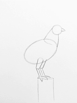 Pencil sketch of a rooster with two cylindrical legs and three forward toes plus a rear claw on each foot