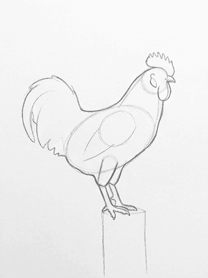 Pencil sketch of a rooster with long sweeping tail arcs and a feathered outline around the breast and back