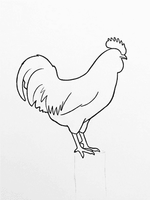 Inked outline of a rooster with the pencil scaffold erased, leaving a clean black silhouette on white paper