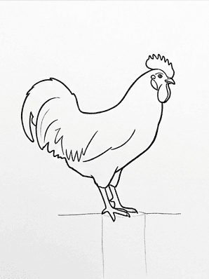 Inked rooster with the eye, nostril, leg scales, and a broken ground line added under the feet