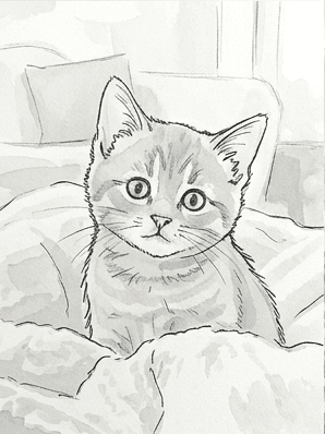 7th step of the how to draw a kitten tutorial: lay the palest wash.