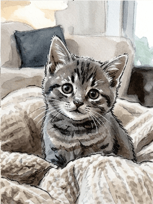 9th step of the how to draw a kitten tutorial: deepen shadows with ink accents.