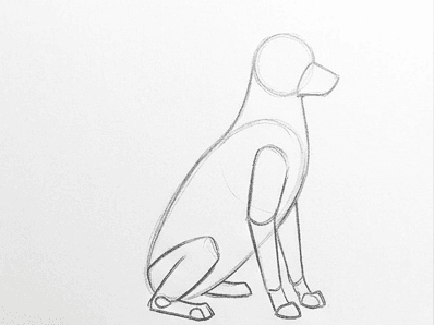 Rear legs are now folded under the body with the back paw rotated slightly outward.