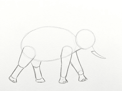 Stage four showing both back legs and a clear stride