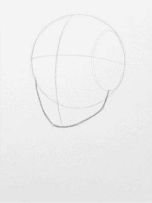 Horizontal brow line and vertical center line crossing the egg shape