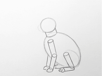 Back leg construction ovals and long flat feet added to the rabbit drawing