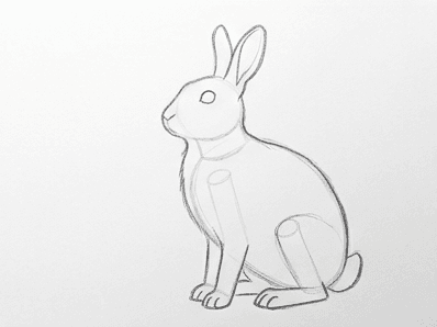 Ears, tail, and refined fur outline added on top of the rabbit construction