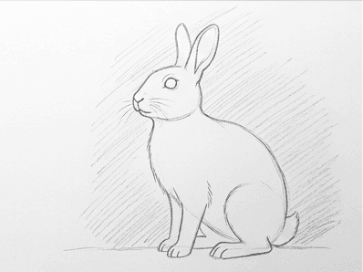 Soft background shading and cast shadow drawn behind and under the rabbit