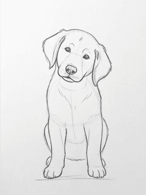 Sixth stage adding the eyes, nose, and a floor line to the puppy drawing.