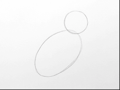 First pencil stage showing a large body oval and a smaller head circle.