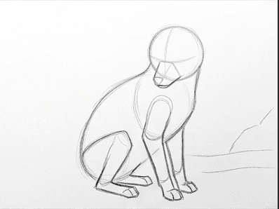 Fourth stage adding the folded back leg and rounding off the paws.