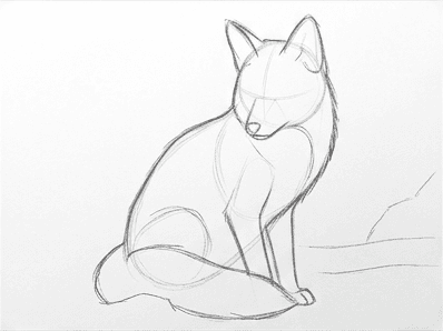 Fifth stage adding pointed ears and a thick curved tail.